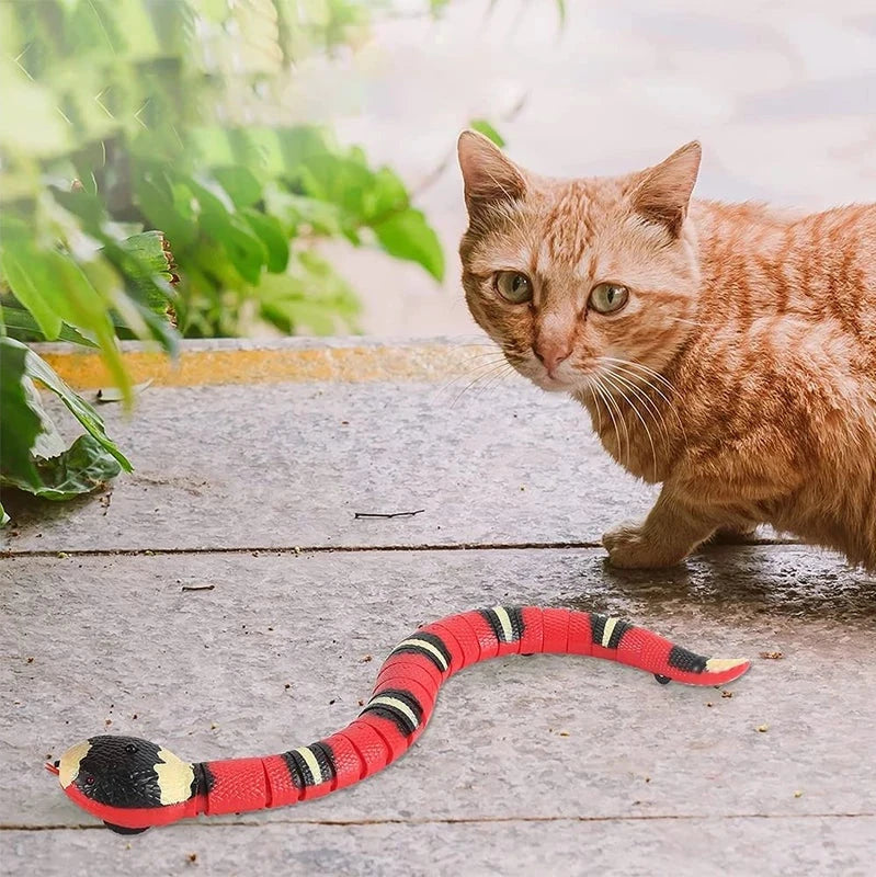 ShakySnake - Jucărie șarpe pentru pisici și câini